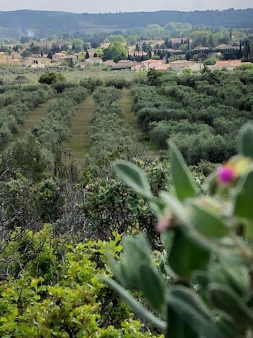 La Pitchoune : Gite Aux Pieds Des Alpilles Mouries Exterior photo