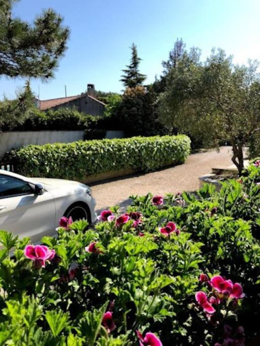La Pitchoune : Gite Aux Pieds Des Alpilles Mouries Exterior photo